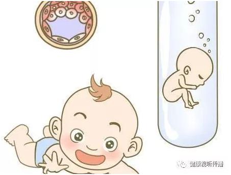 主案例