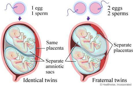 Fig.03